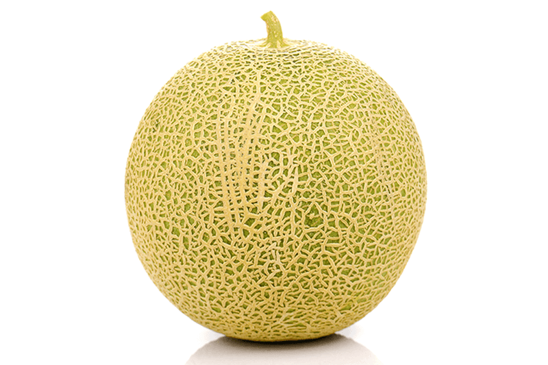 JED Honeymelon