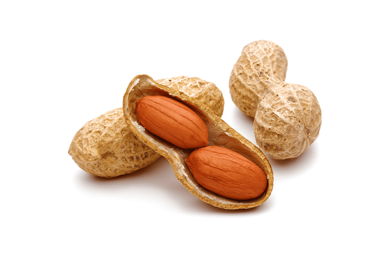 JED Fresh Peanuts