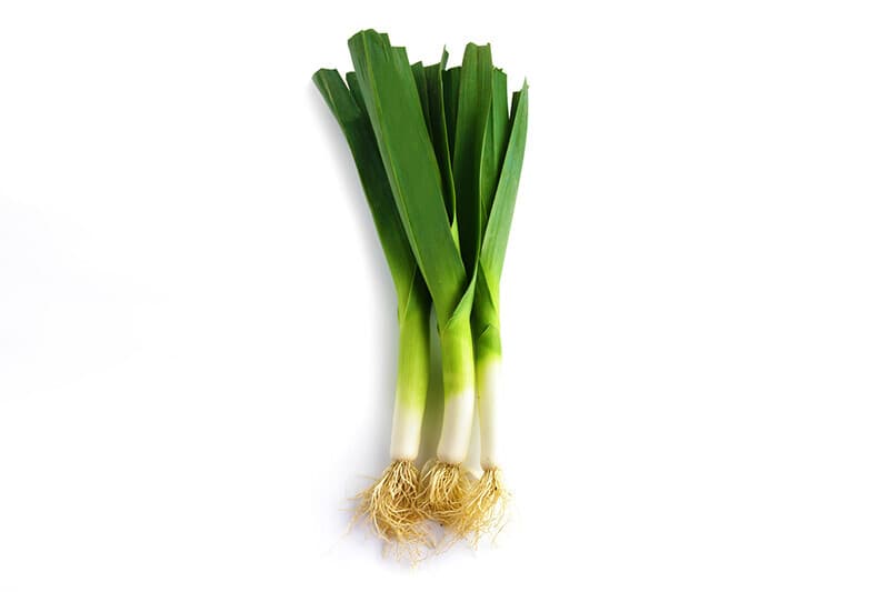 Millenium Onion Leek