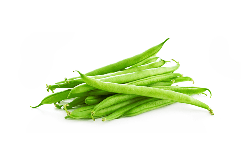 Millenium French Beans