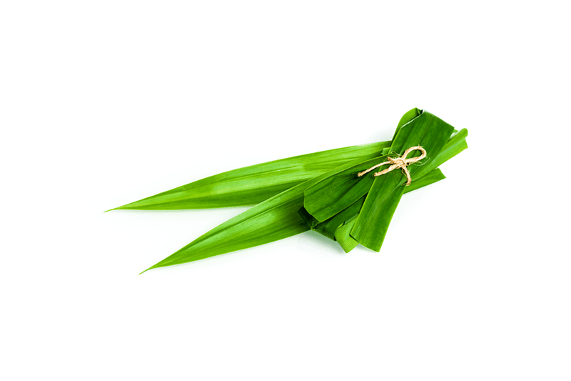 Global Pandan Leaves