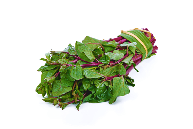 Global Fresh Alugbati