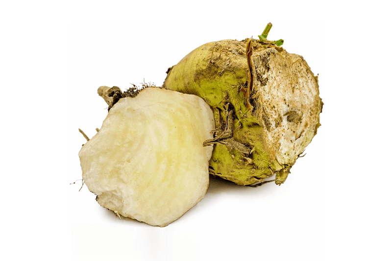 Millenium Sugar Beets