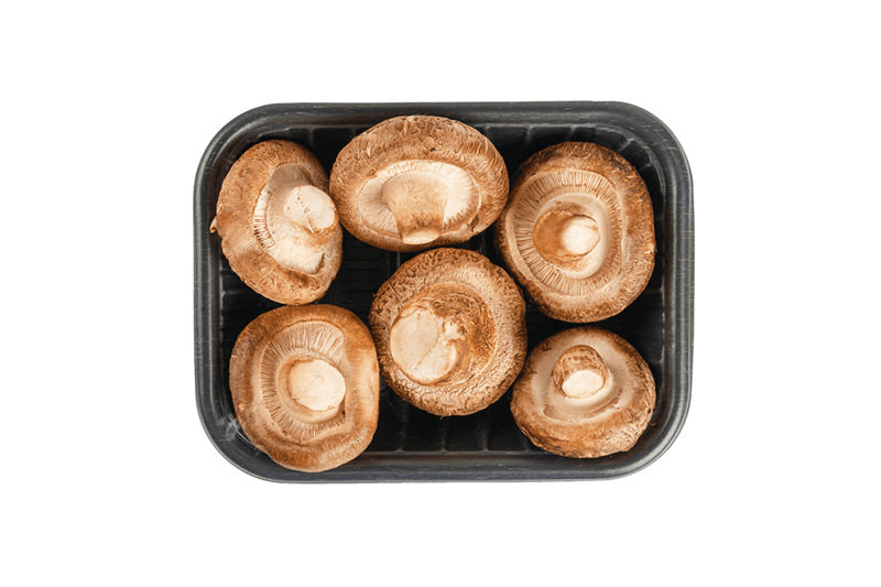 GF US Shiitake Mushroom