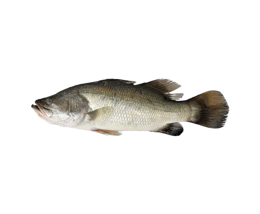 AJ Ayungin per 500g