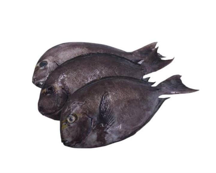 AJ Labahita 500g