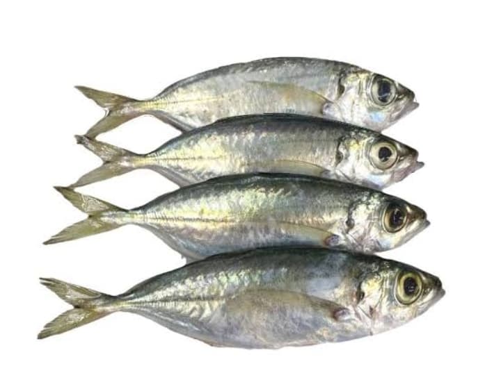 AJ Matang Baka 500g