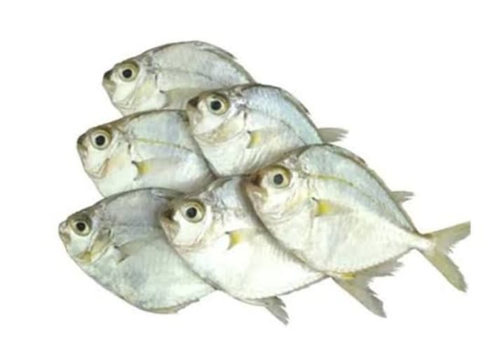 AJ SapSap 500g