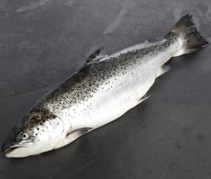 AJ Salmon Whole 1kg