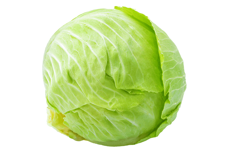 Global Cabbage