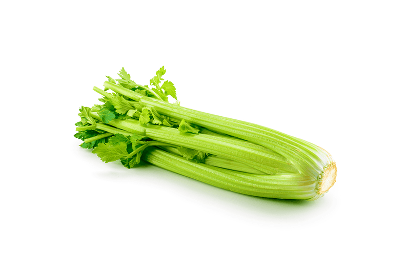 Millenium Celery