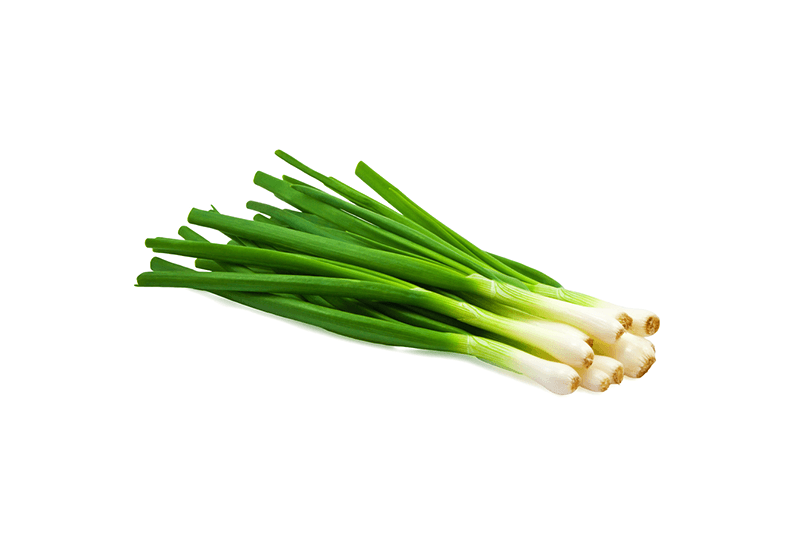 Millenium Spring Onion