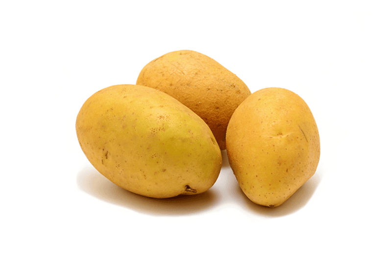 Global Potato Jumbo