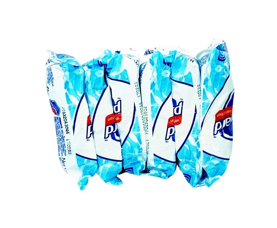 Safeguard Family Germ Protection -5°C Feel Arctic Fresh InfiniShield (6 Packs x 60g)