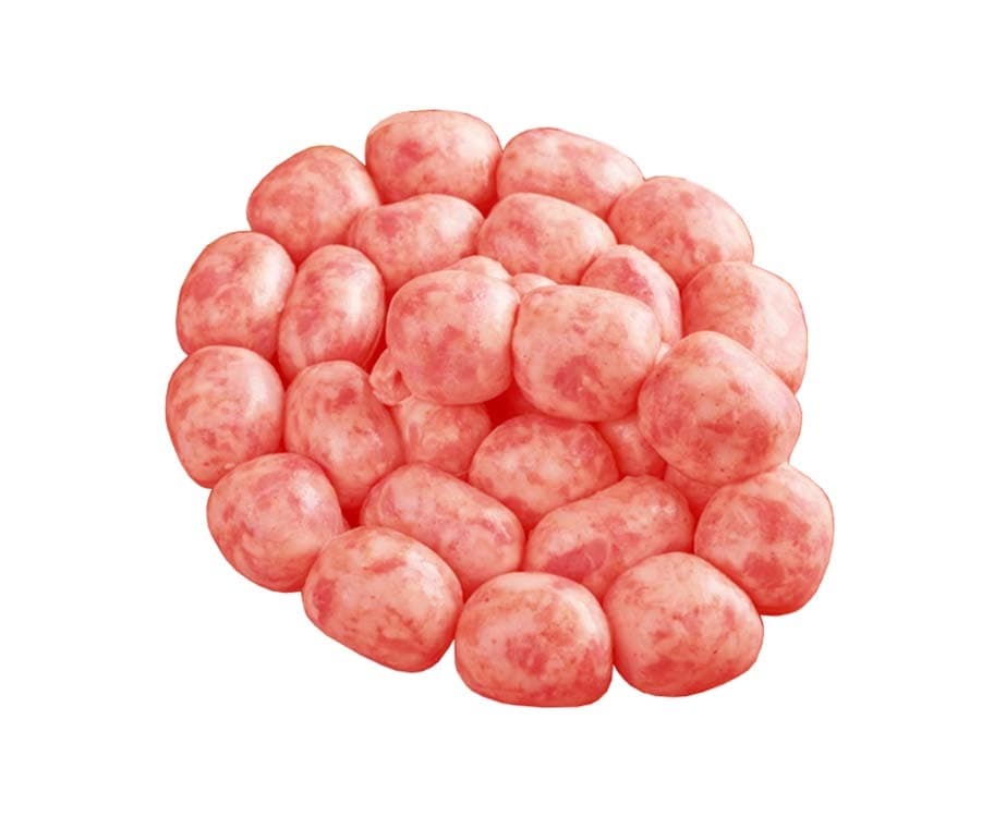 Bounty Fresh Longganisa Garlic per 500g