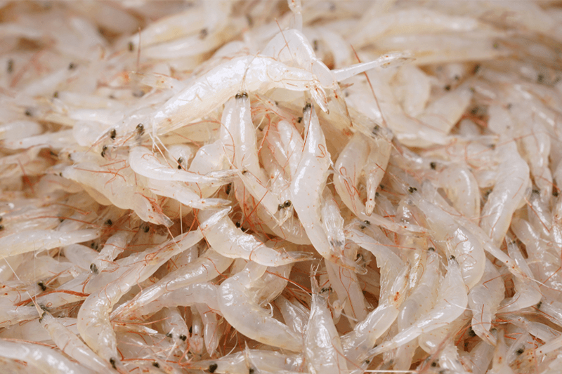 AJ Alamang per 500g