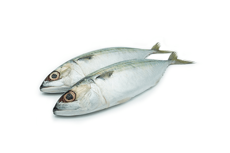 Hasa Hasa per 500g